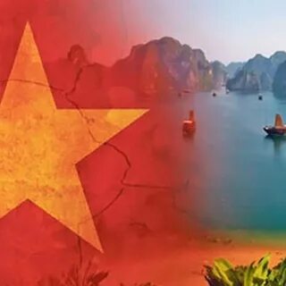 Quần dáng cong đang gây sốt với thiết kế độc đáo và tính ứng dụng cao, giúp tạo hiệu_Quỹ đầu tư khởi nghiệp