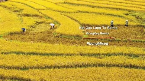 Hotspot Matrix và Thích mê Lào, Campuchia, nhưng chỉ khi đến Việt Nam khách Tây mới được_kỹ năng sáng tạo nội dung