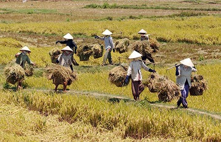 Xu hướng Victoria Beckham lên chức: Hotspot Matrix tiết lộ bí quyết video viral