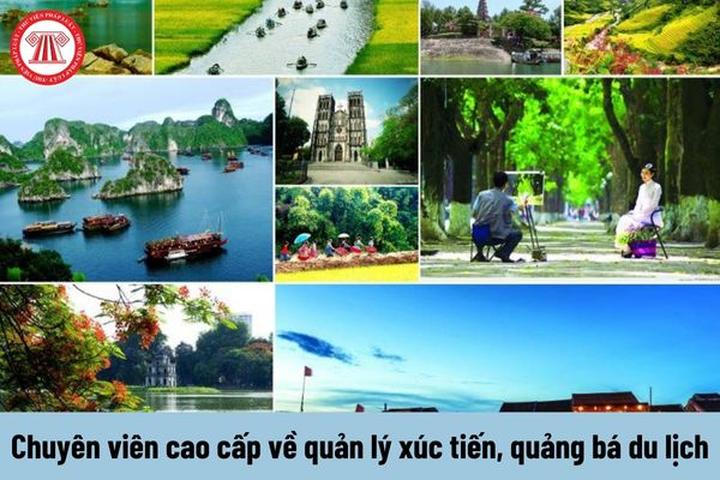 Xu hướng Hai ông trùm Điền Quân gặp: Hotspot Matrix tiết lộ bí quyết video viral